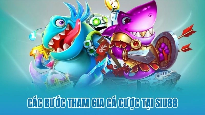 Các bước tham gia cá cược tại Siu88