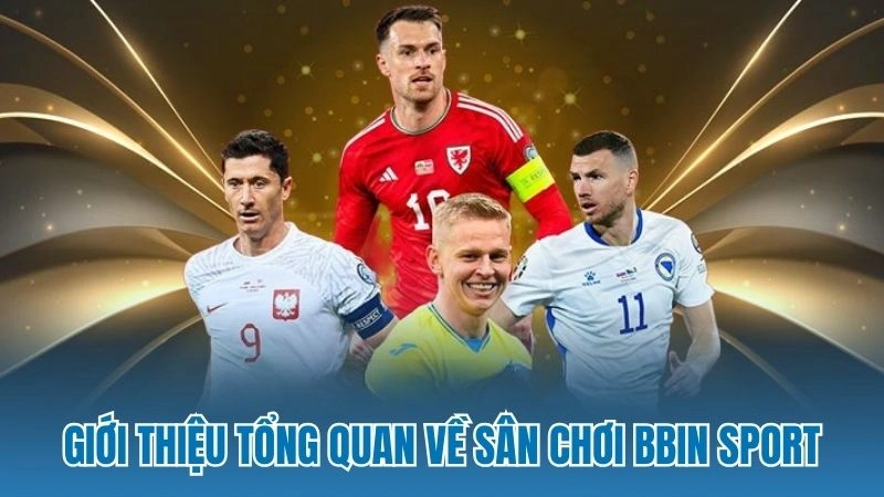 Giới thiệu tổng quan về sân chơi BBin Sport