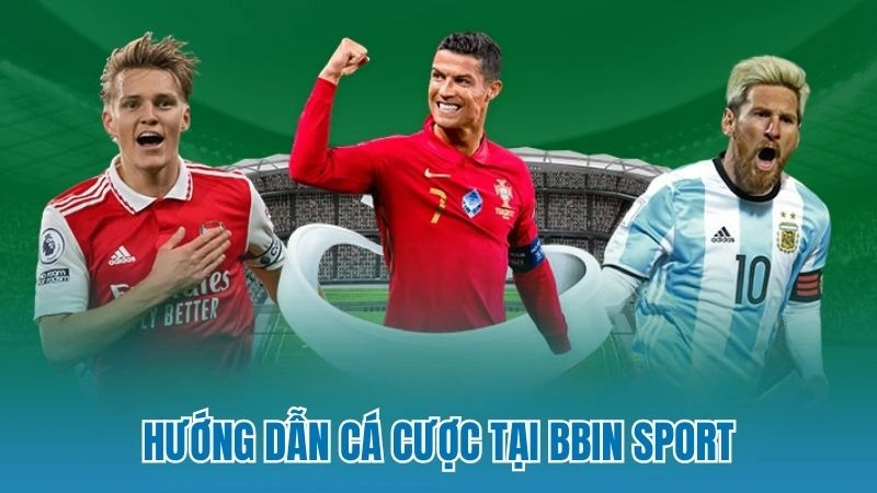 Hướng dẫn cá cược tại BBin Sport