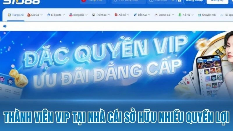 Thành viên VIP tại nhà cái sở hữu nhiều quyền lợi