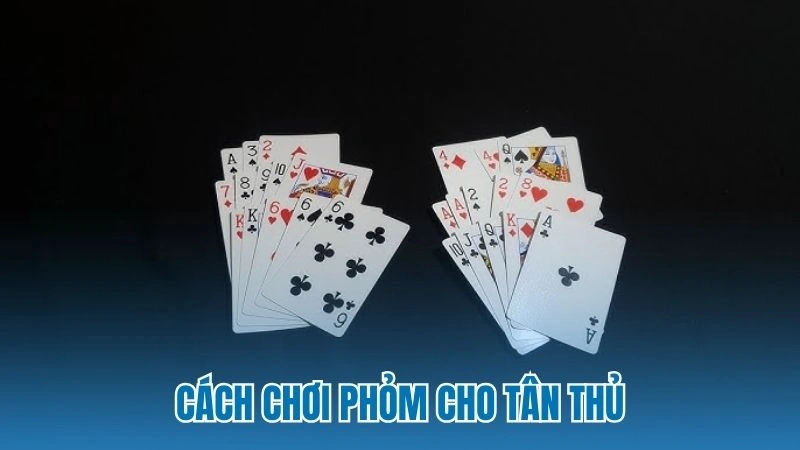 Cách chơi phỏm cho tân thủ