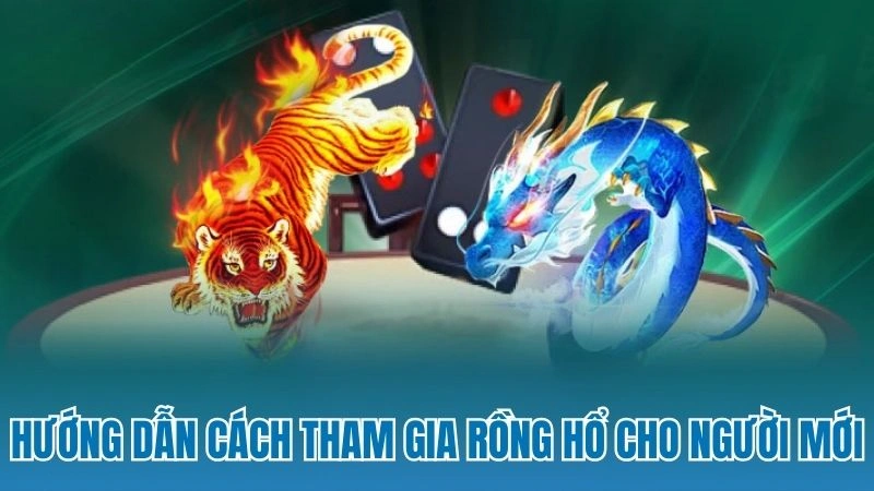 Hướng dẫn cách tham gia chơi rồng hổ cho người mới