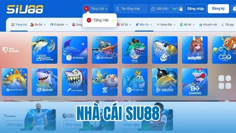 Giới thiệu về nhà cái Siu88