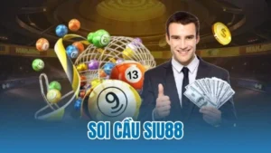 soi cau siu88