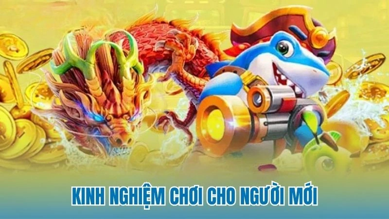 Kinh nghiệm chơi cho người mới